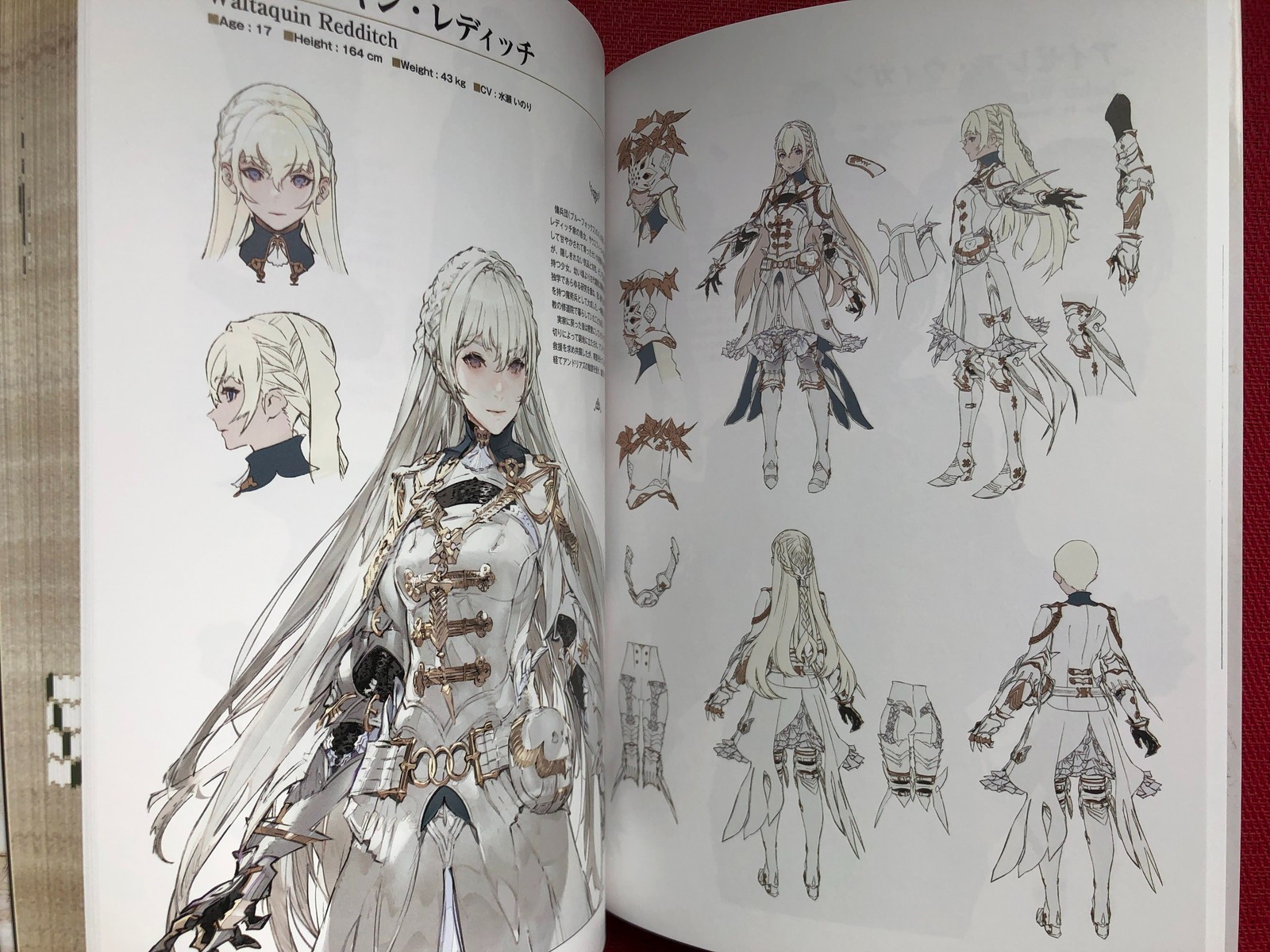 Diofield Chronicle Official Guidebook + Setting Materials Collection Book