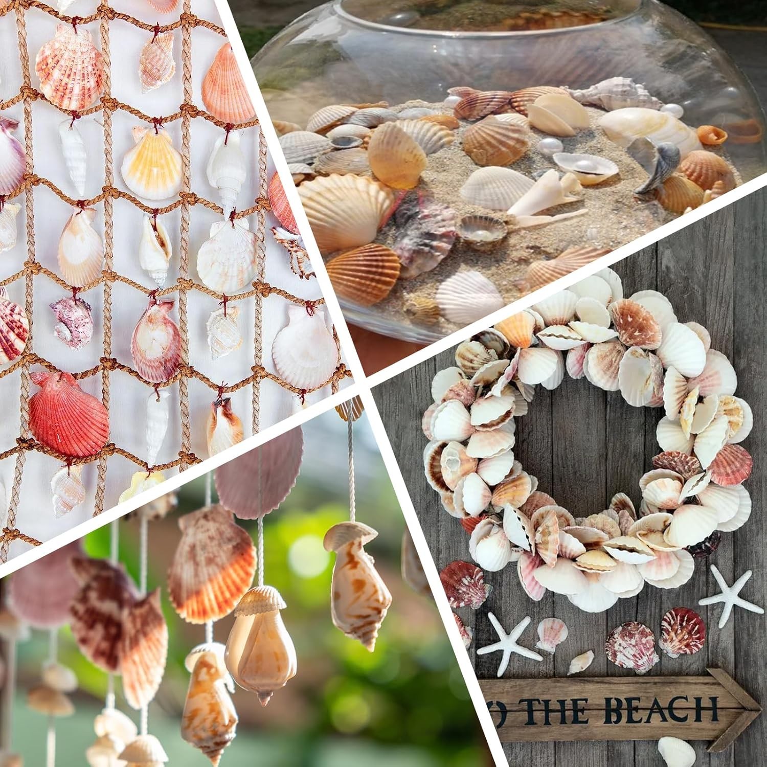 80+ Pcs Natural Seashells, Mixed Starfish Sea Shells for Crafts, Various...