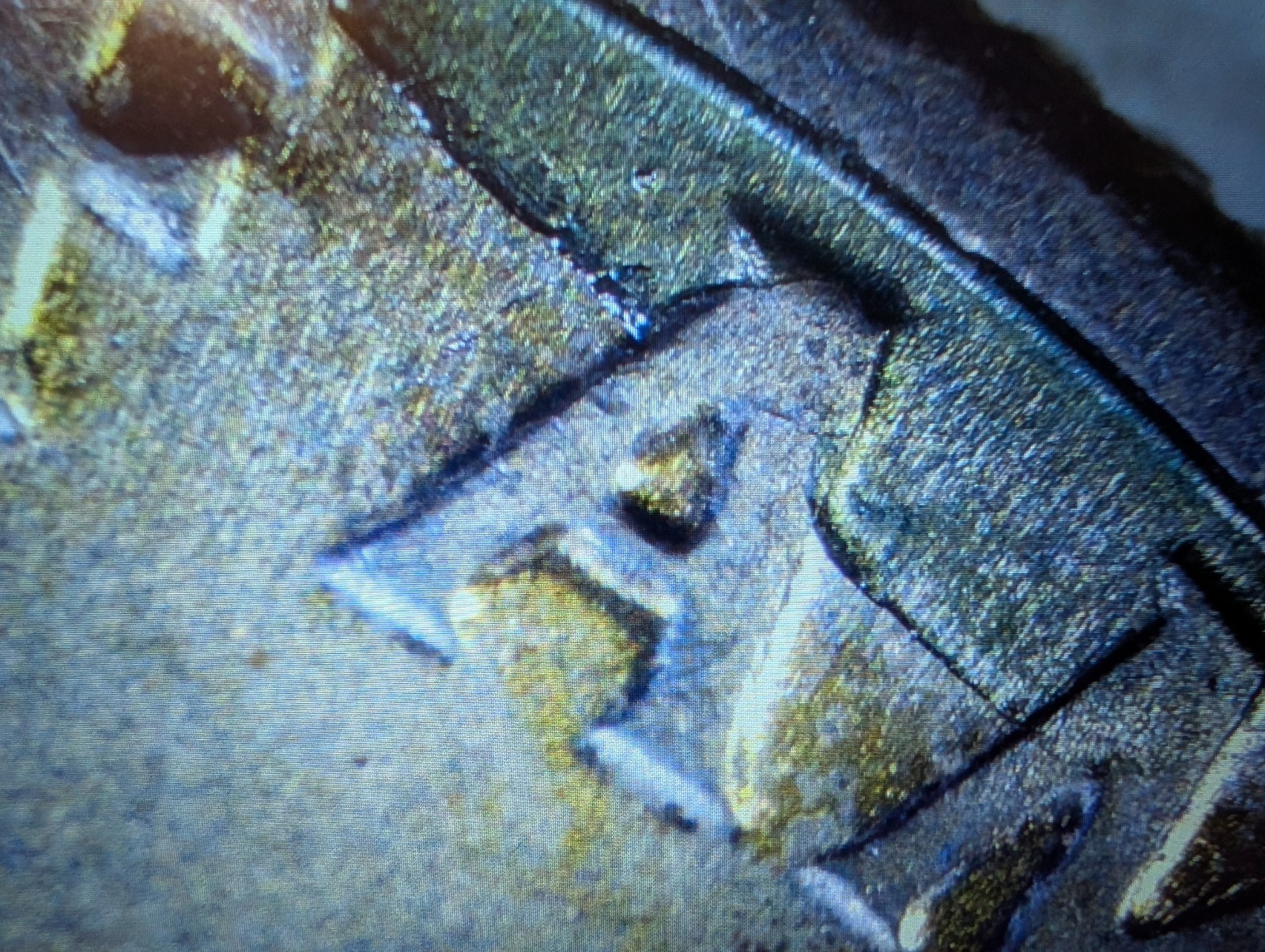 1976 Half Dollar Bicentennial.    Die Crackes Errors