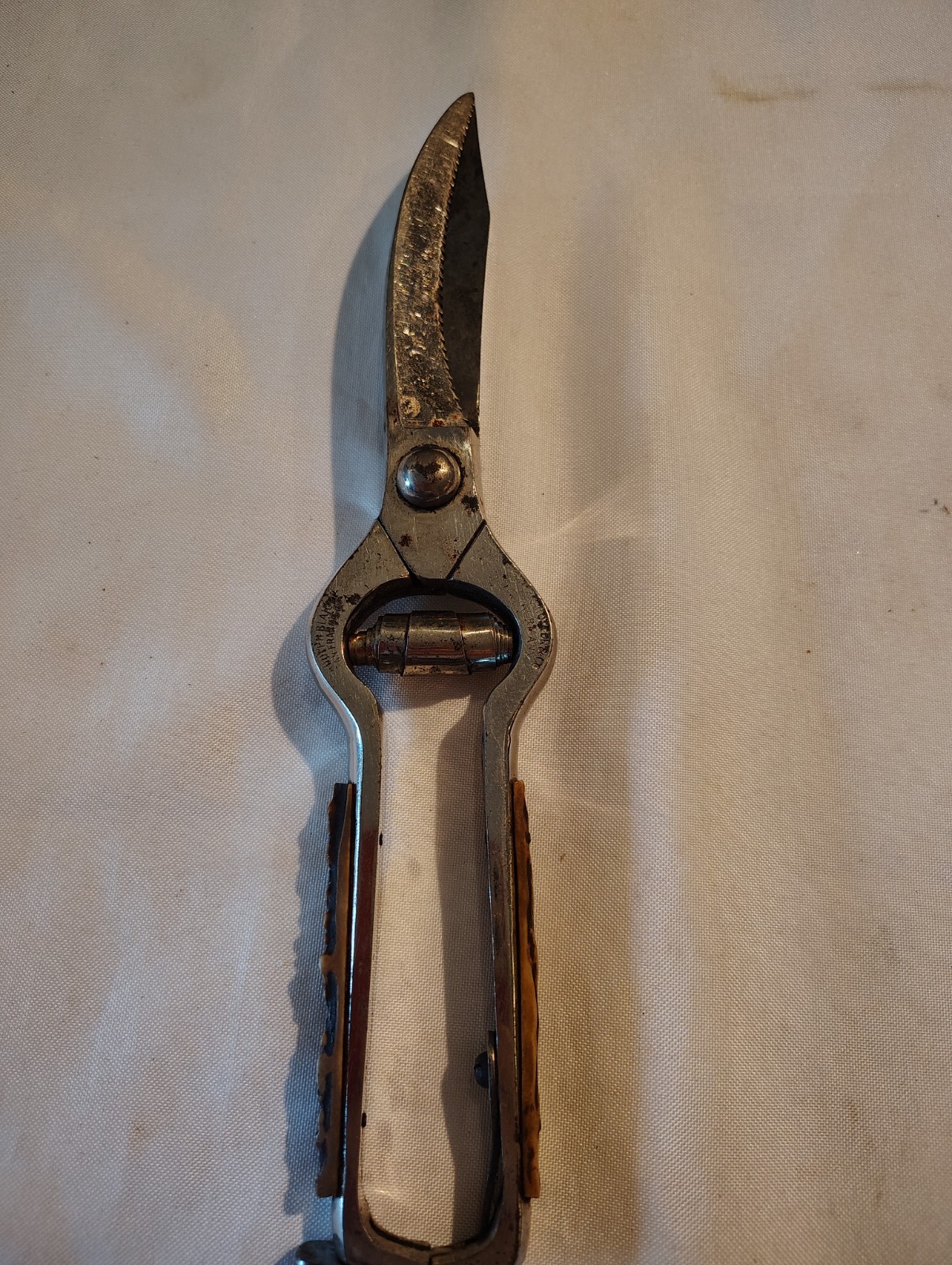 Vintage Poultry Shears Adolph Blaich San Francisco J.S Holler & Co Germany Stag