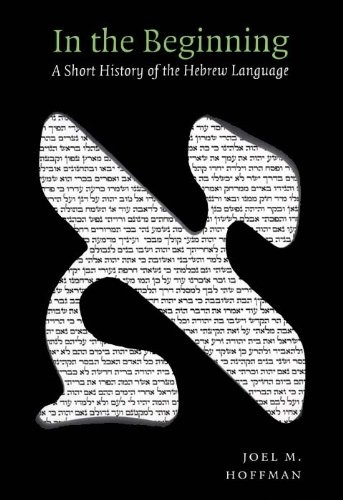 IN THE BEGINNING: A SHORT HISTORY OF THE HEBREW LANGUAGE By Joel Hoffman *VG+*