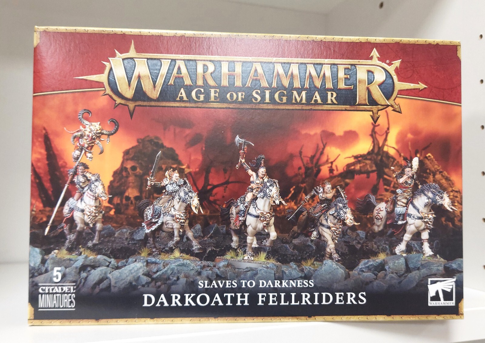 Warhammer Age of Sigmar Slaves to Darkness DARKOATH FELLRIDERS single models