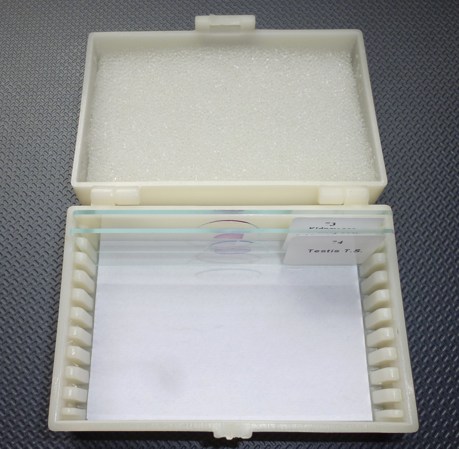 Microscope Slides Storage Box for 10 Slides, Free P&P
