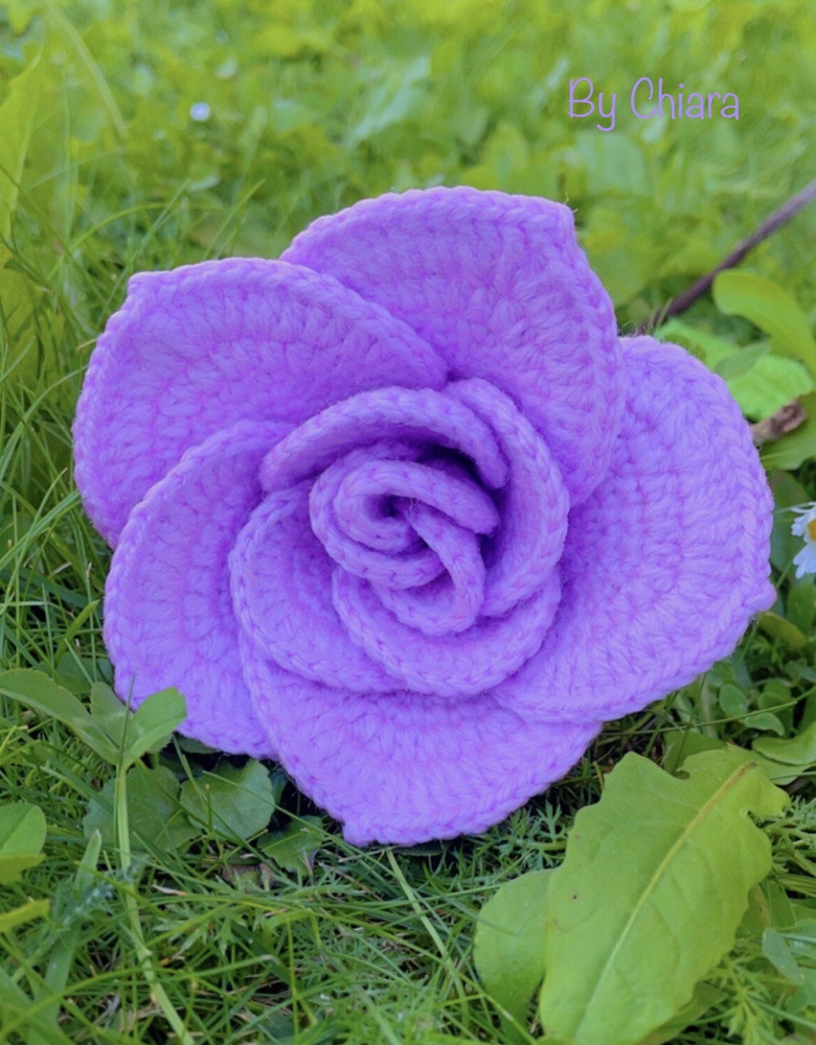 Rose Crochet