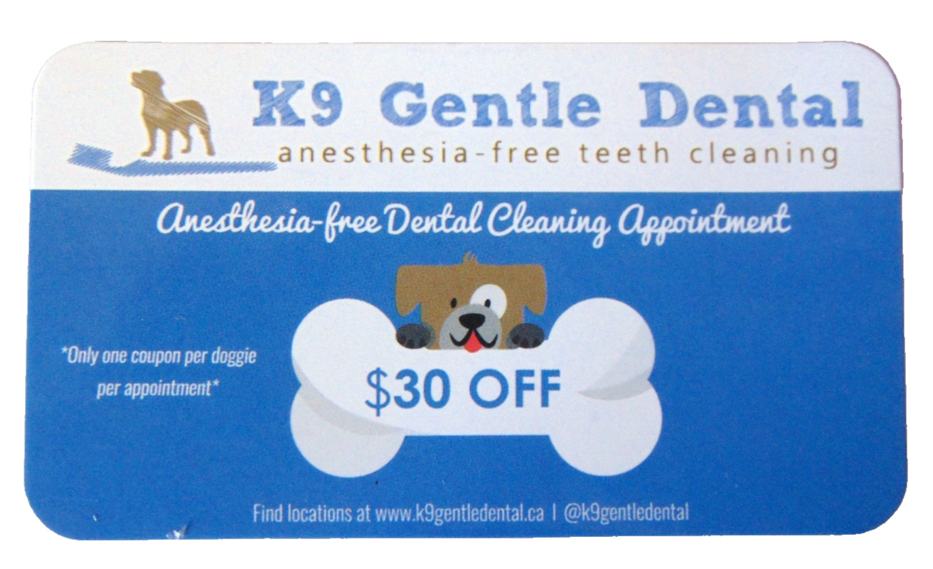 K9 Gentle Dental $30 Off Discount Card – Valid at Alberta Pop‑Up Clinics