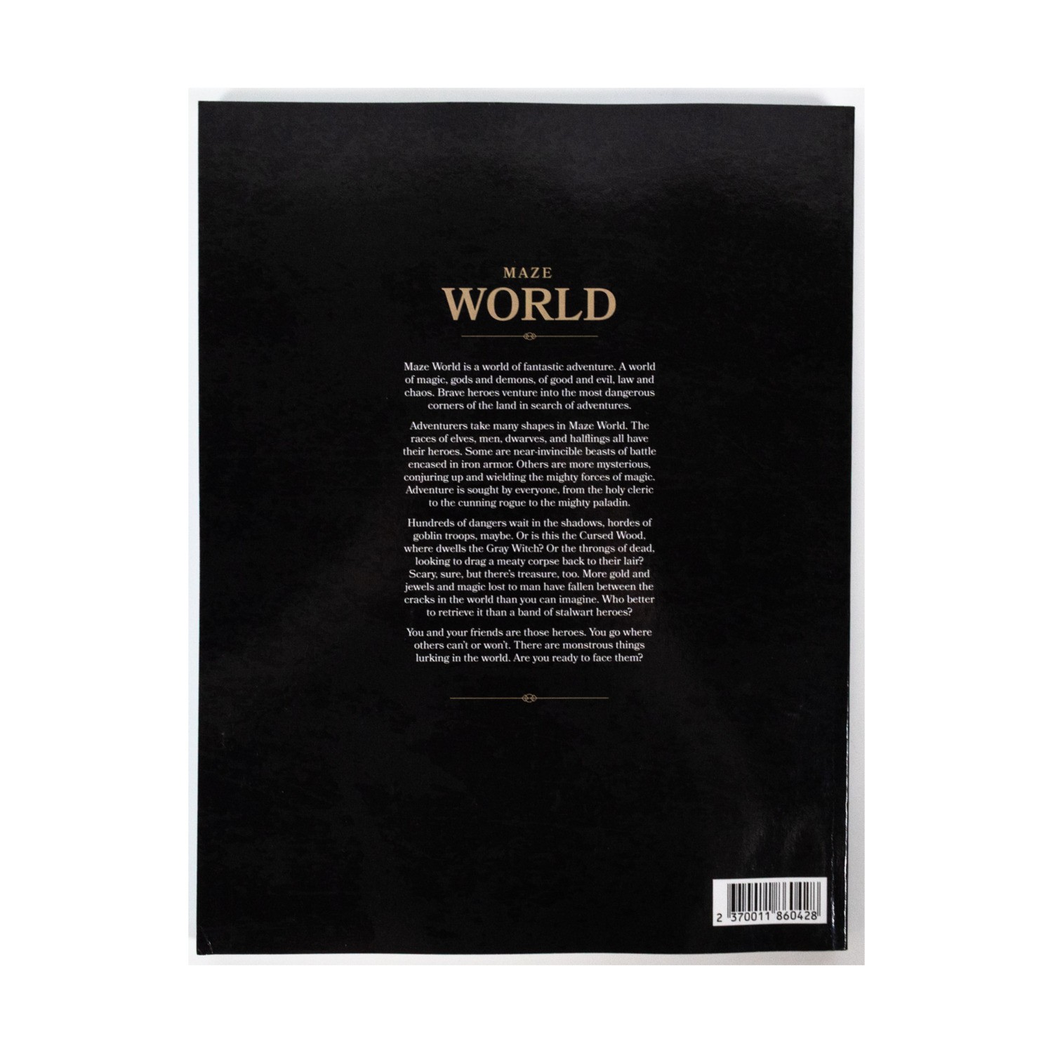 Jasper Wint RPGs Maze World - Fantasy Roleplaying Game (POD, Standard Col VG+
