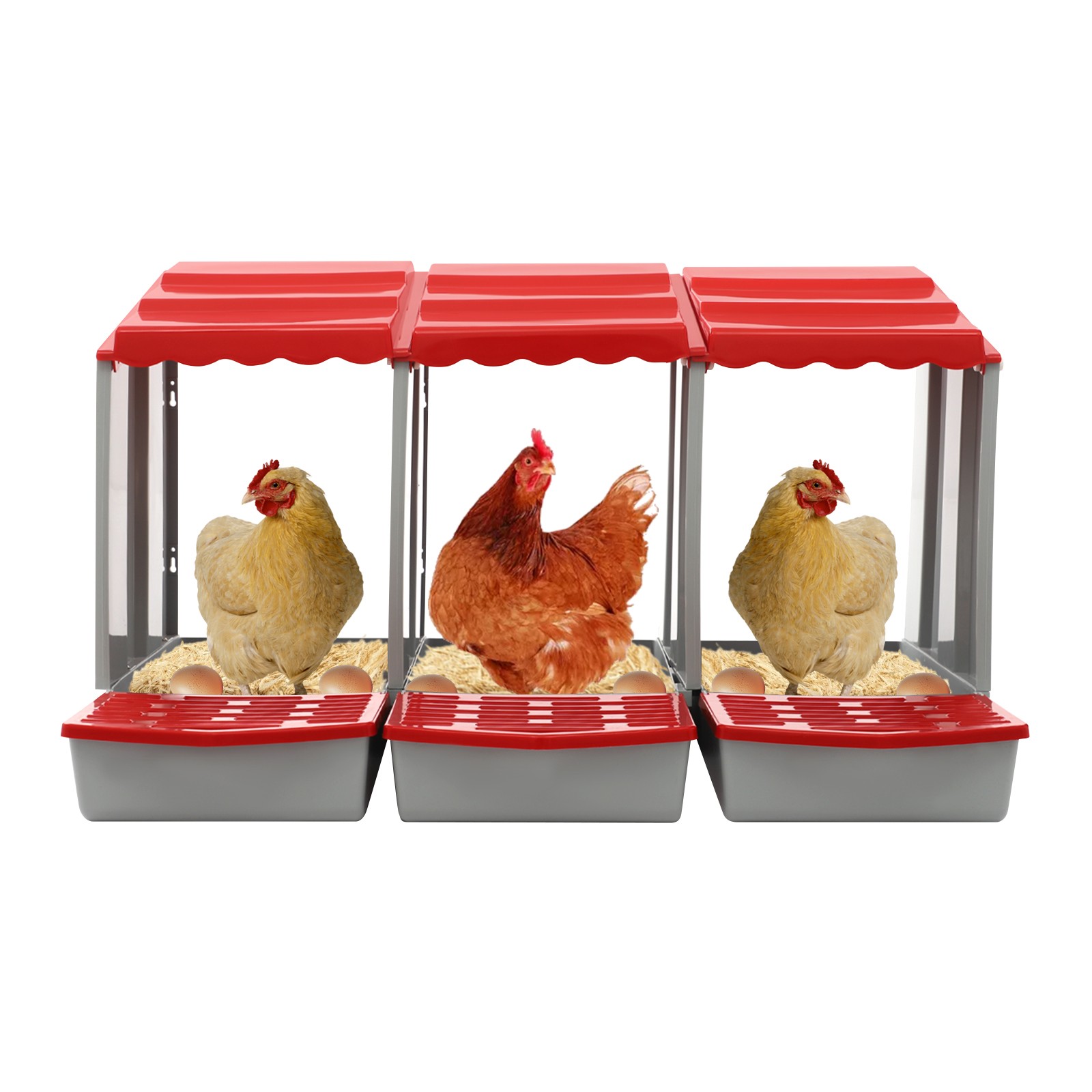 3-Compartment Chicken Nesting Box for Efficient Egg Laying and Easy Collection