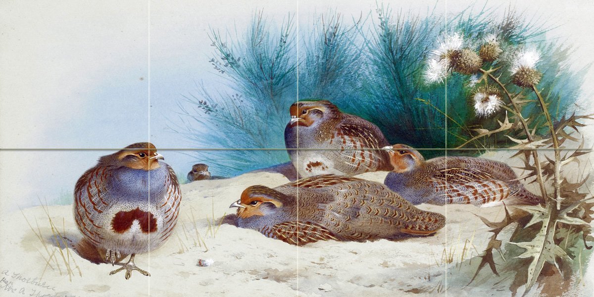 English Partridge with Gorse Tile Mural Kitchen Bathroom Wall Backsplash 24x12