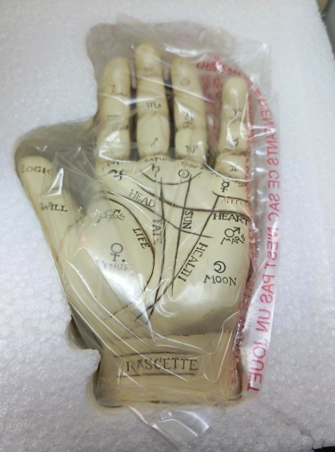 The Palmistry Hand Kit - Complete New Open Box