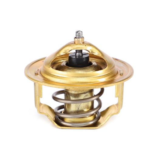 3704299M1 Challenger MT225 MT255 MT255B MT260 MT265 MT265B Thermostat & Gasket