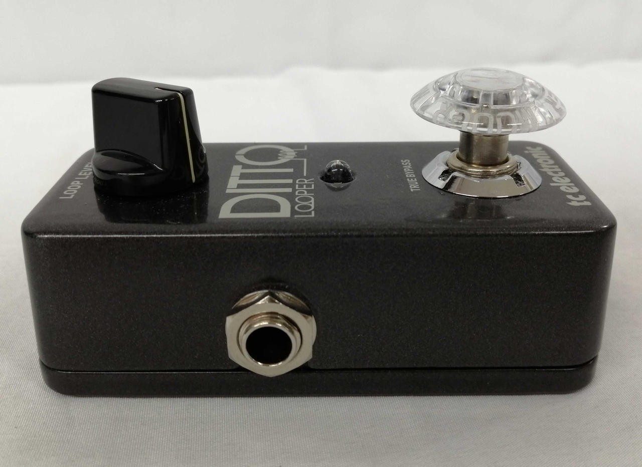 TC Electronic DITTO LOOPER Model