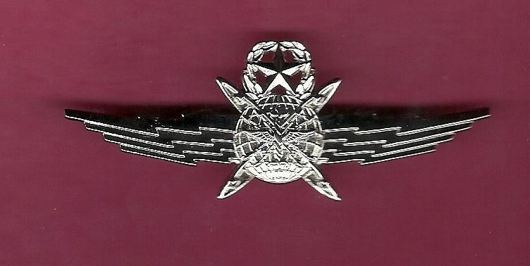 US Cyberspace Command or Master Operator Full size Wings USAF Badge