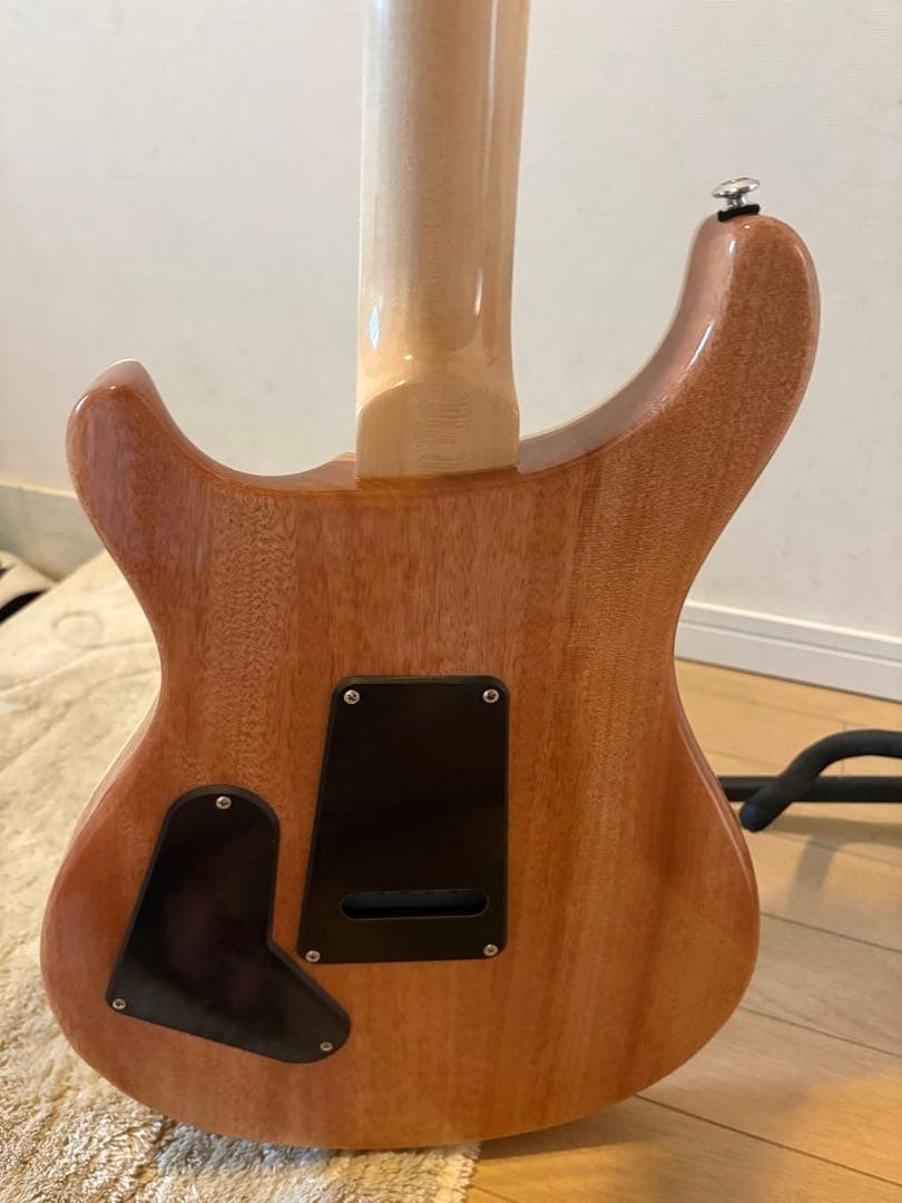 Prs Se Custom 24 Carefully Selected Demon Quilt