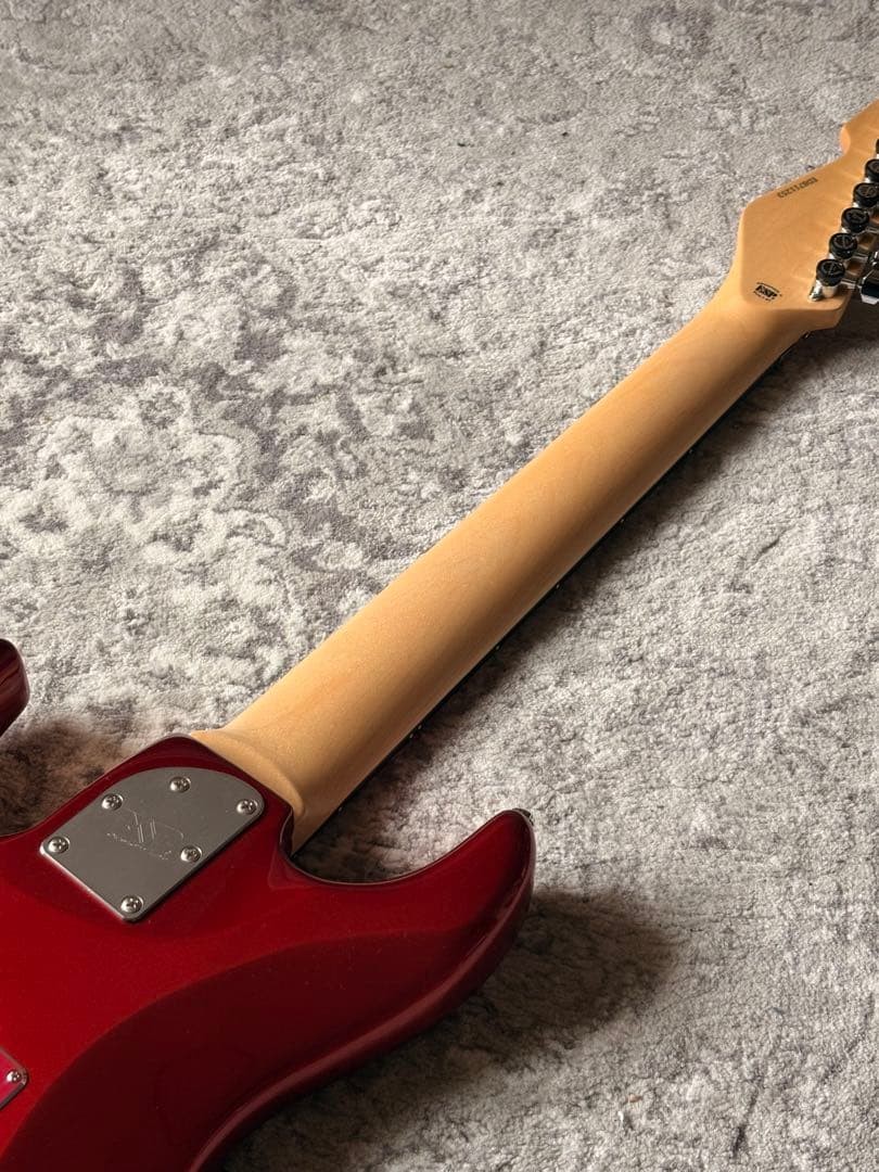 EDWARDS E SNAPPER 8 ISAO Custom