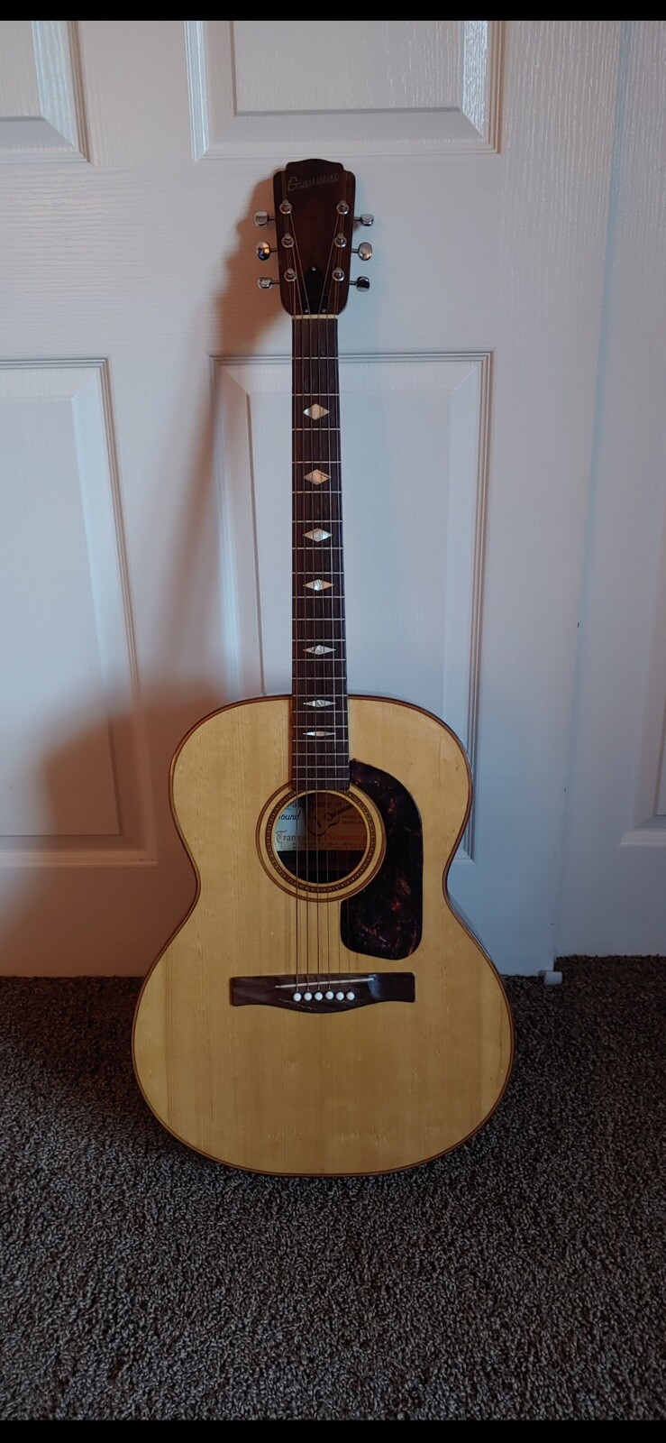 1970 Giannini Acoustic Guitar Steel String Model GS380