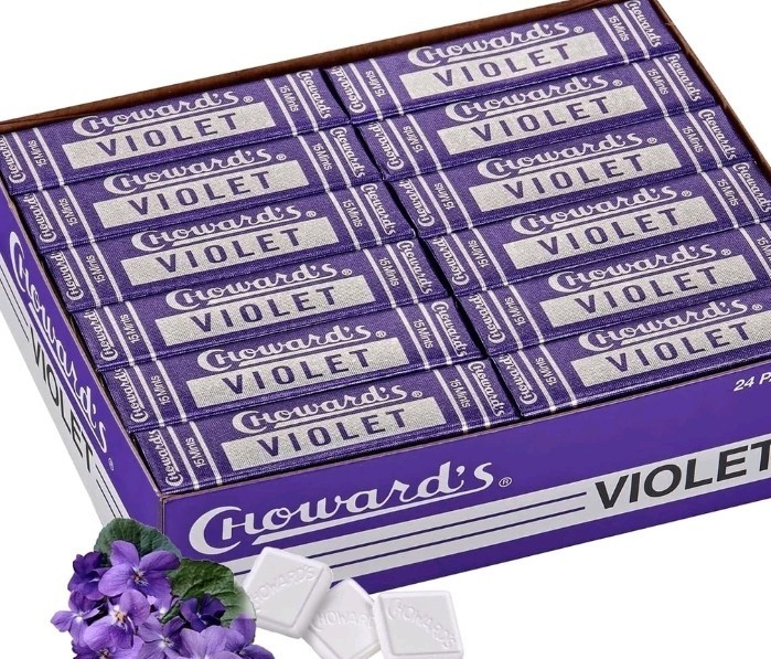 Choward's Violet Mints 24 PACK C Howard Floral Scented Flavored Candy FREE SHIP