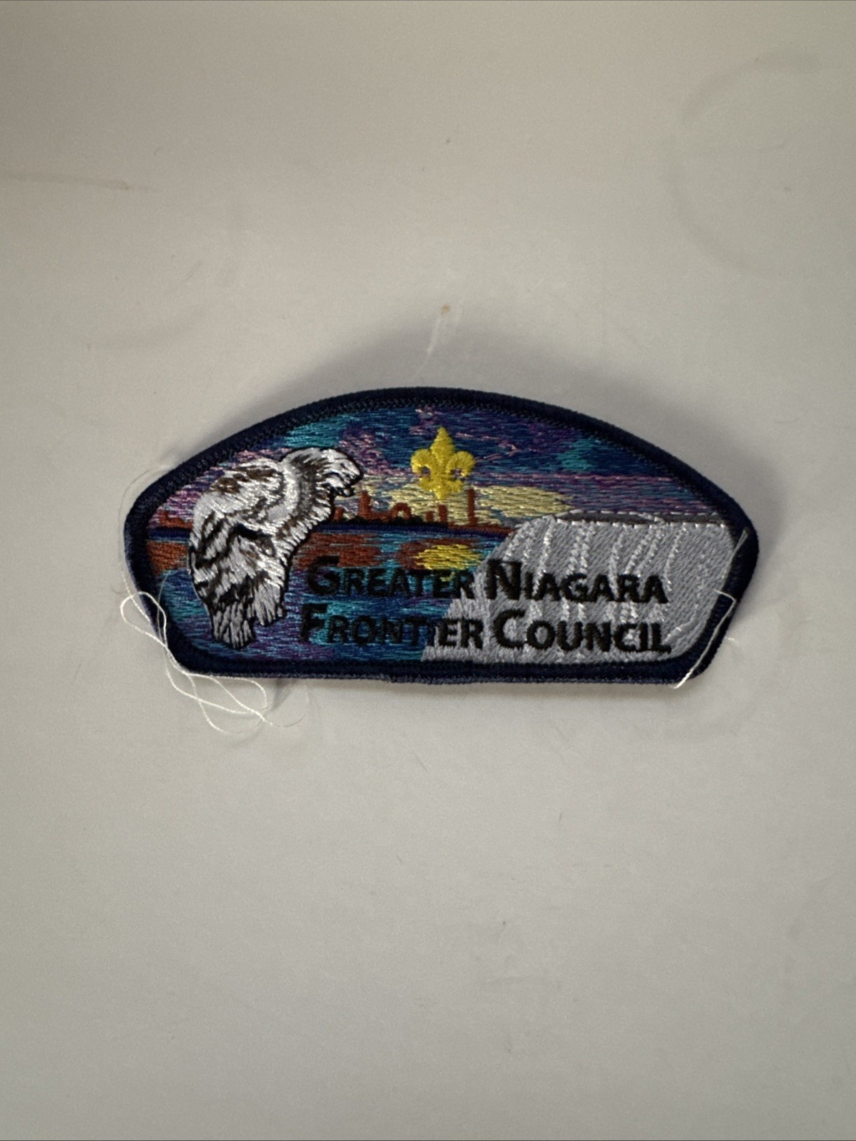 Boy Scouts -  Greater Niagara Frontier Council, NY csp
