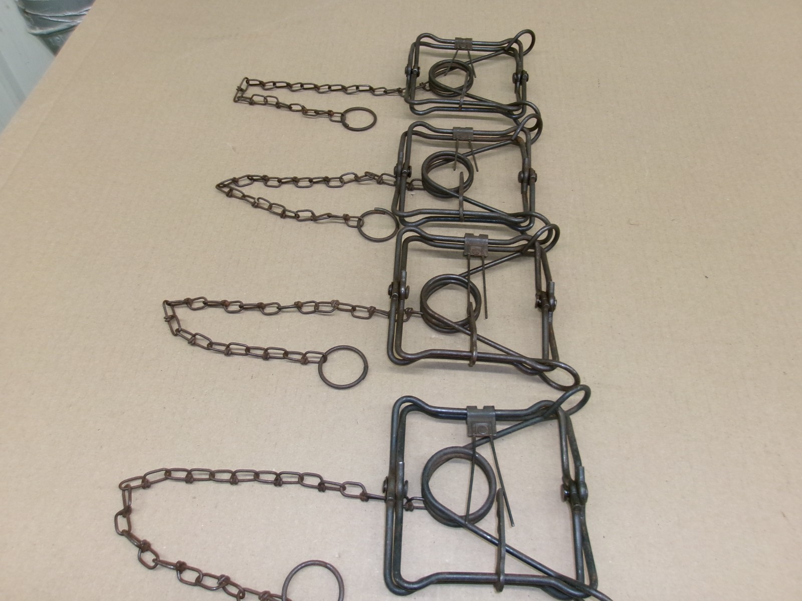 4) Duke 110 Body Grip traps. Strong Springs! Mink & Muskrat trapping.
