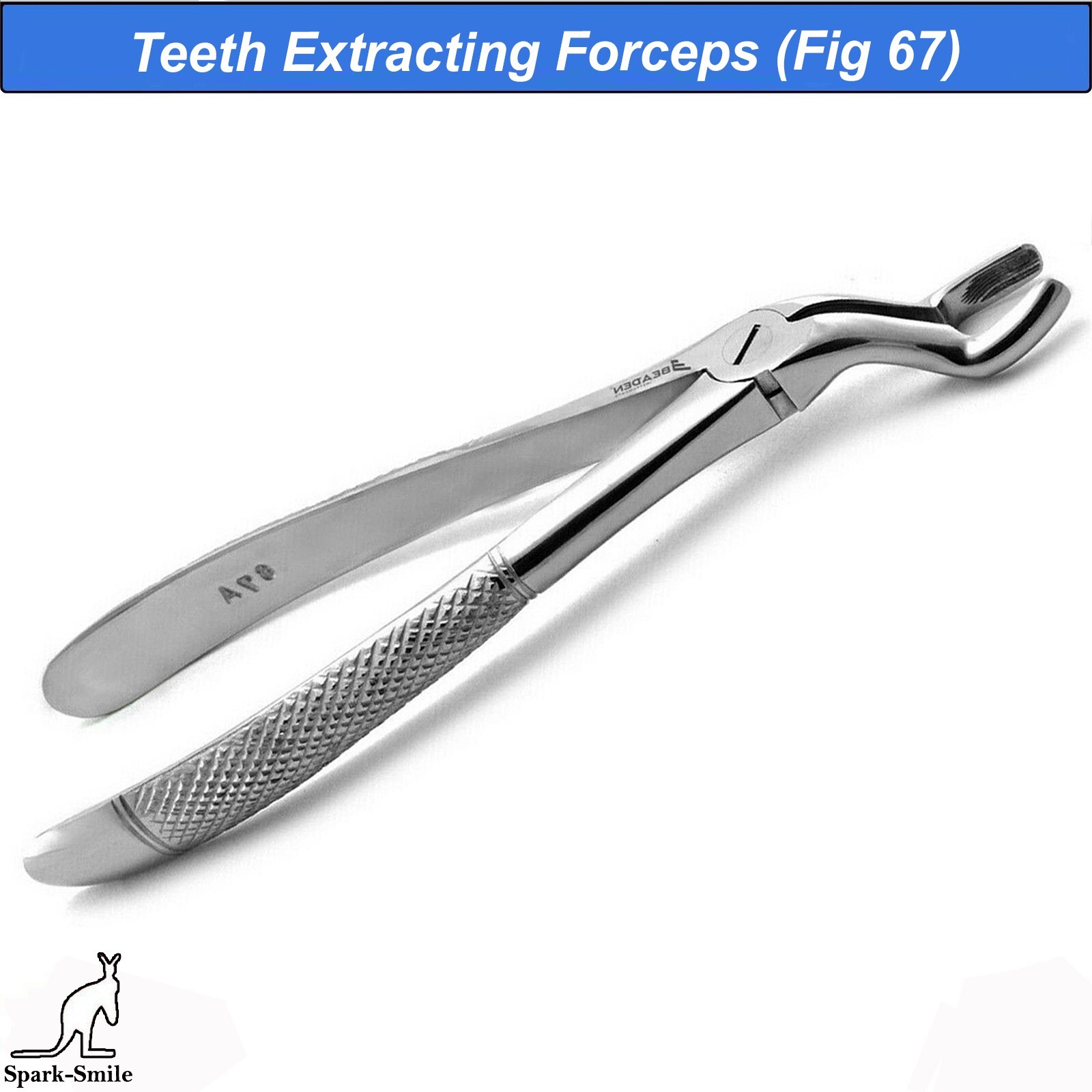 Dentistry Tooth Extraction Forceps Fig. 67 A Surgical Instruments Dental Forceps