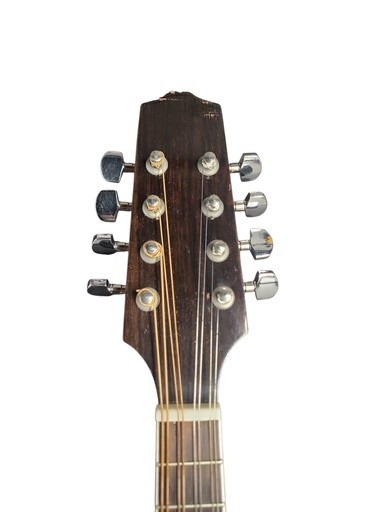 Custom A-Style Mandolin with Hardshell Case