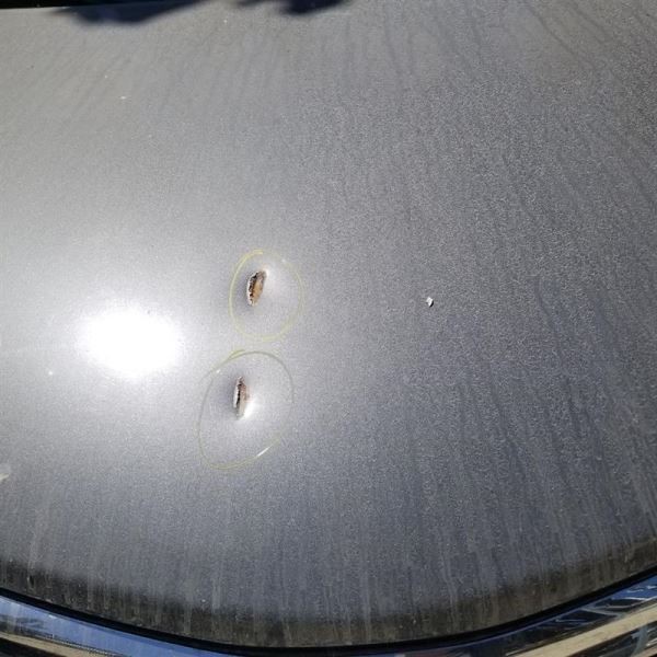 12 - 14 TOYOTA CAMRY MULTIPLEX NETWORK CONTROL MODULE ECM ASSEMBLY