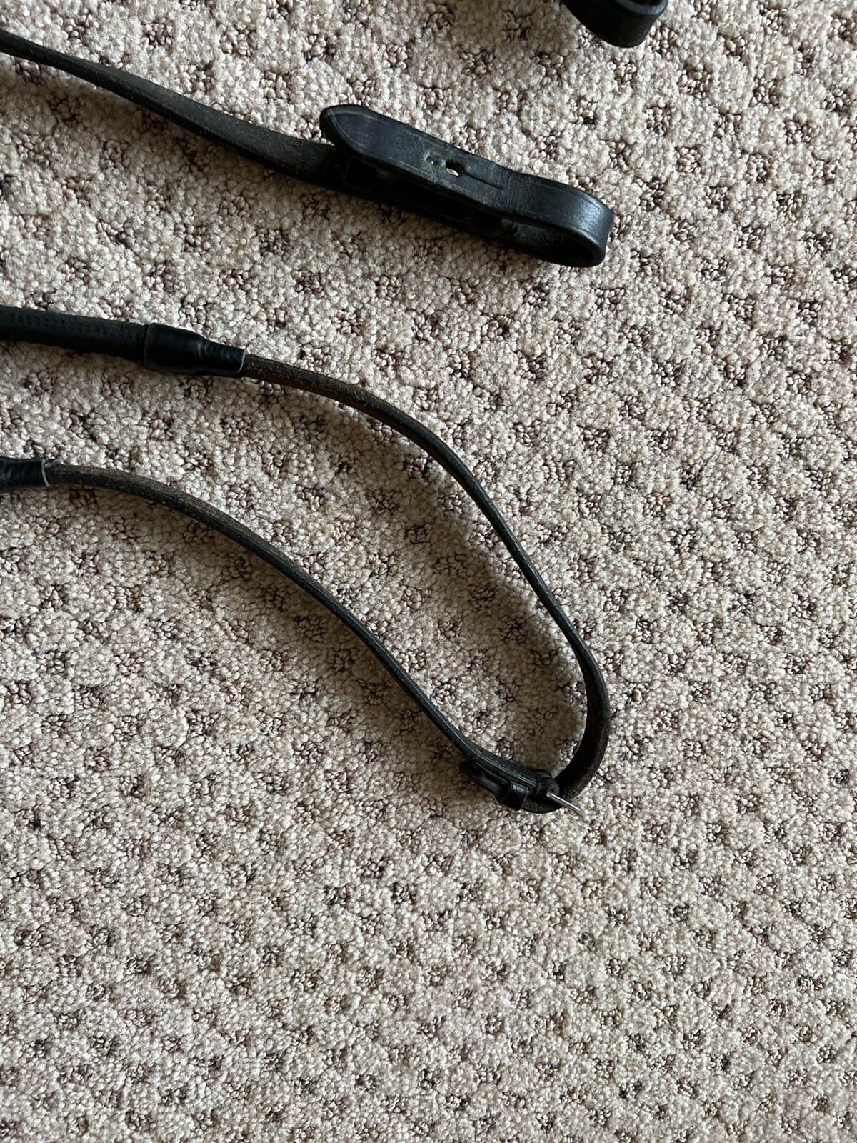 reins