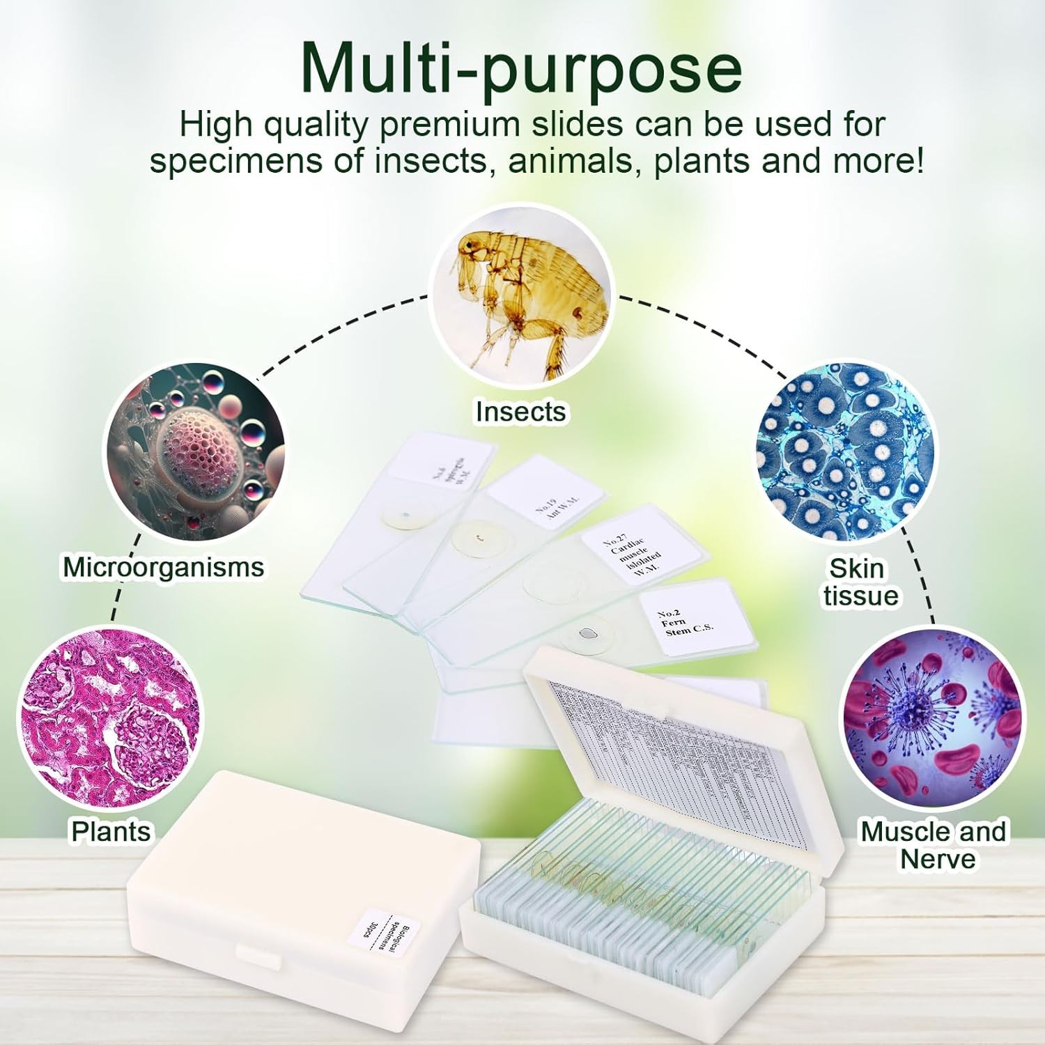 120 Microscope Slides with Specimens, Plant, Insect, Animal, Algae Slide Set for