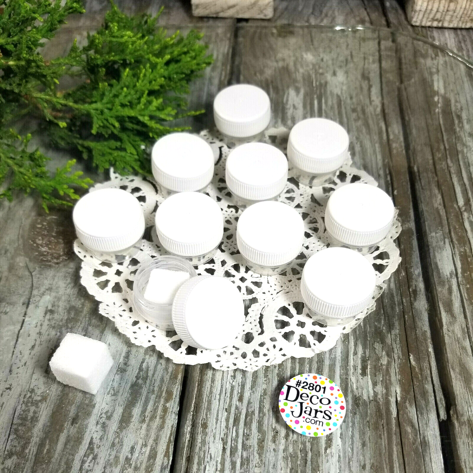 12 Micro Jars 1/8 oz .25oz Makeup Skincare Container 2801 White cap Reusable USA