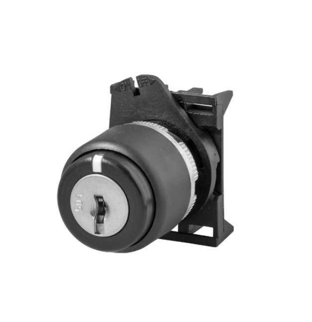 Giovenzana PSCR8D0N 2 Position Rotary Switch W/ Key