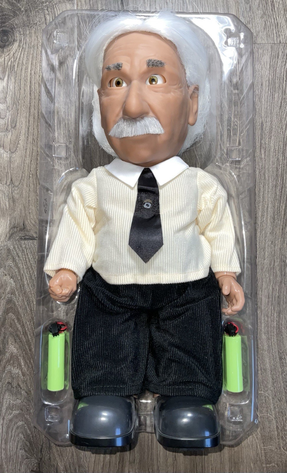 Hanson Robotics Professor Einstein