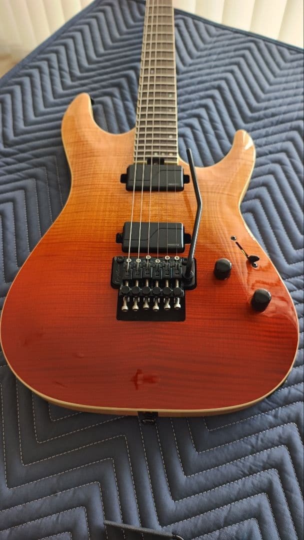 Schecter Electric Guitar C-1 Fr Sls Elite