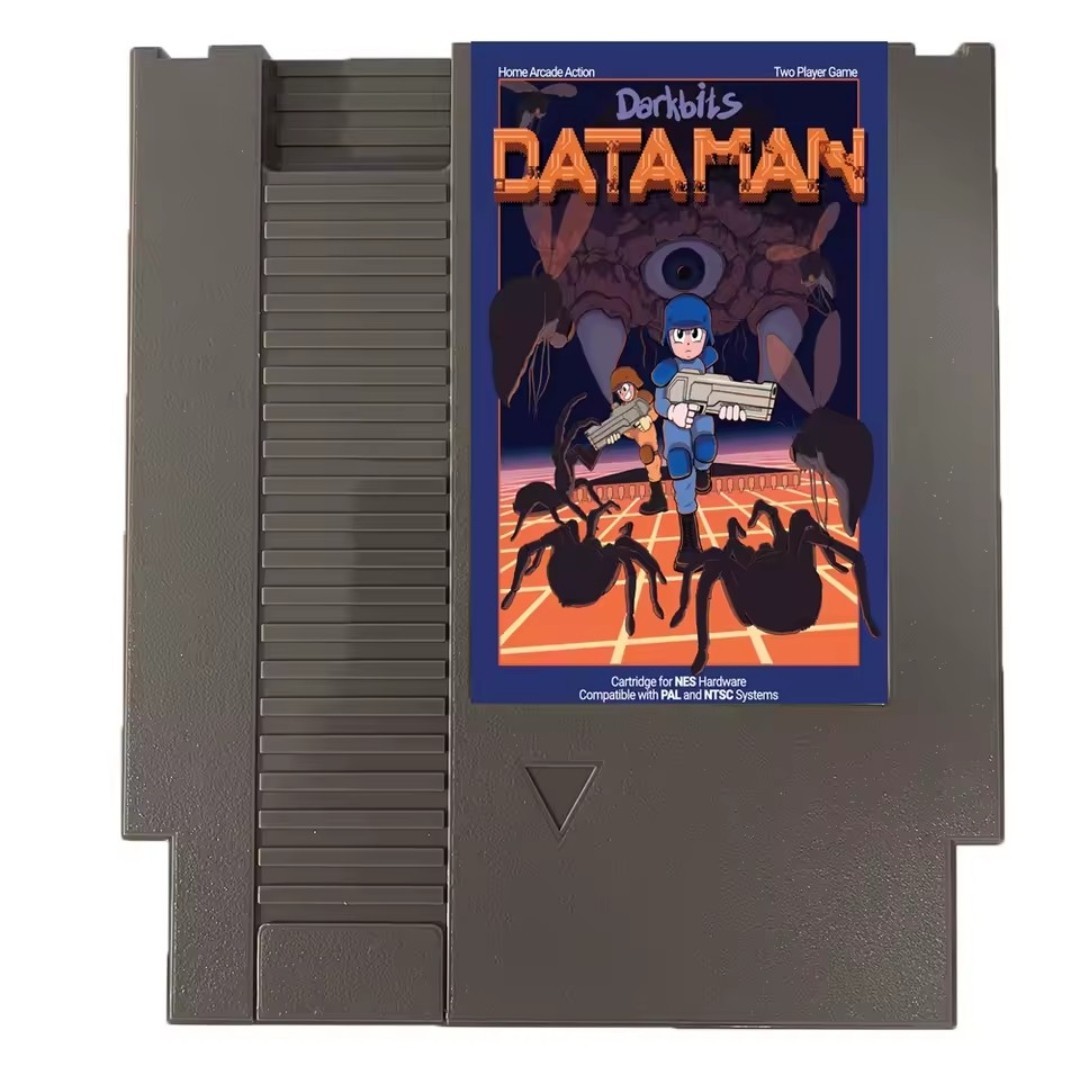 Dataman Nes