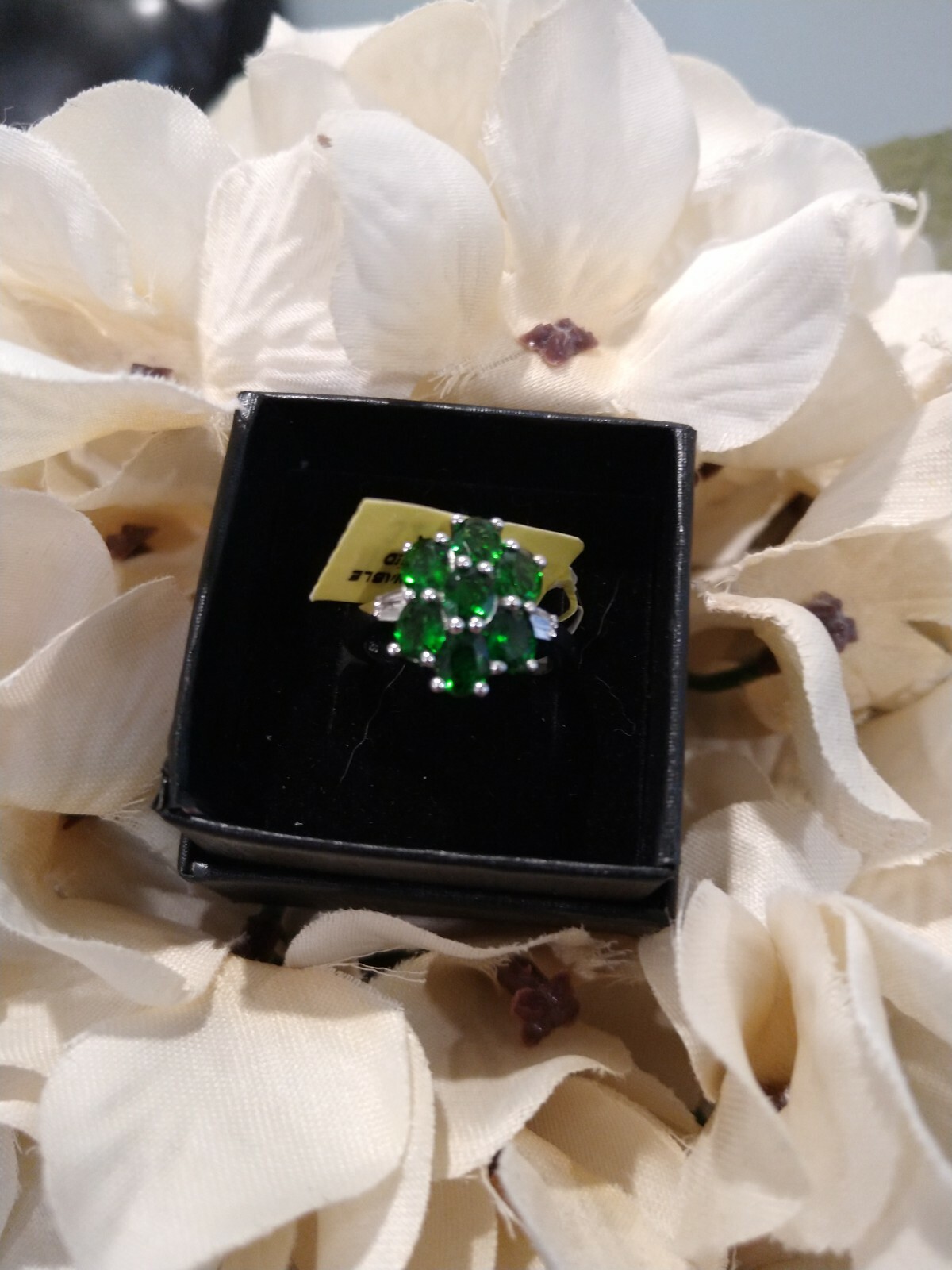 GORG TCW=2.57(0.06 Diamonds)Russian Diopside, Diamond Plat/SS Floral Ring, Sz 6.