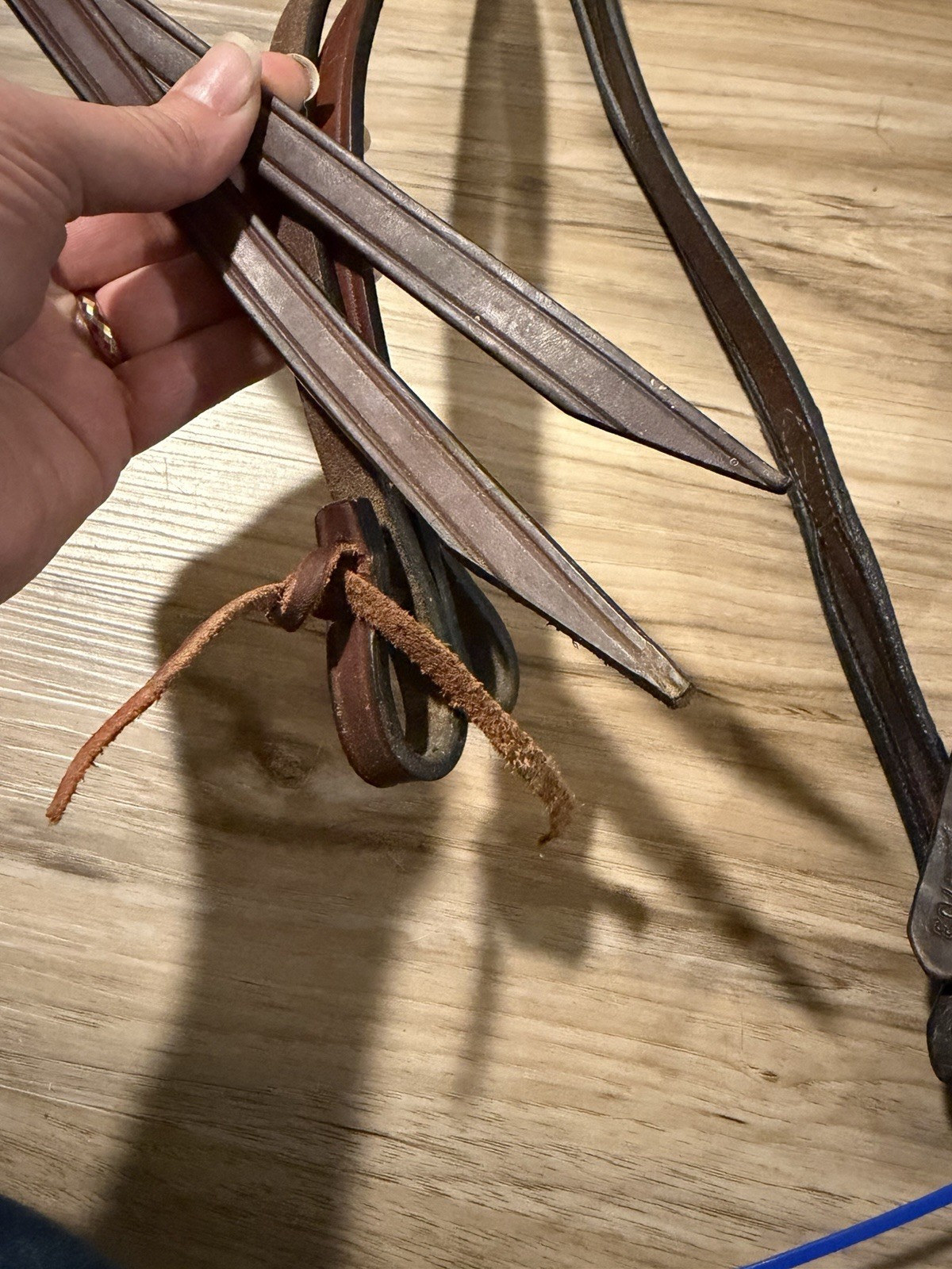 Western Horse Tack Lot - Circle Y Reins, Head stall, Other Reins