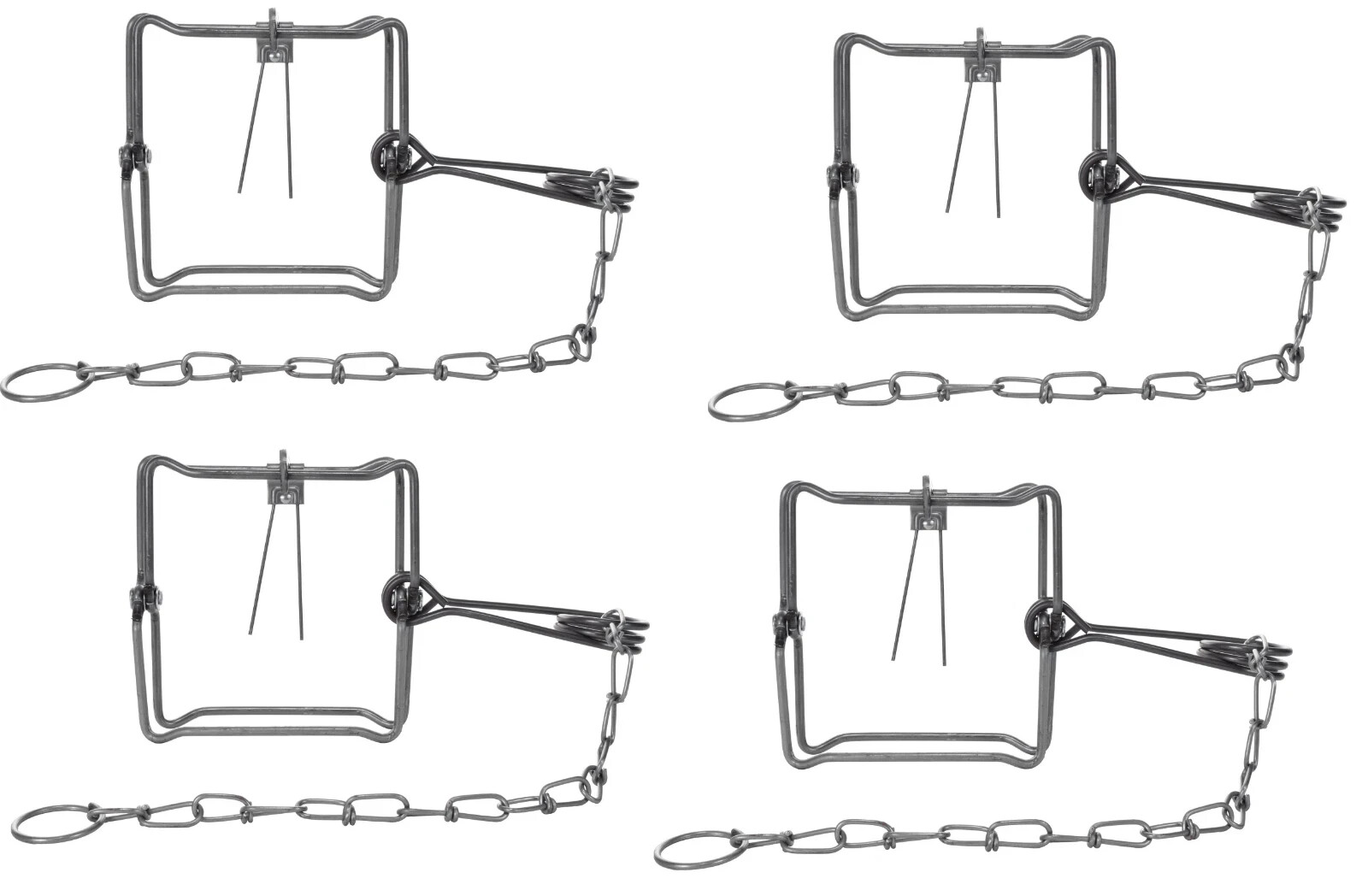 4 Bridger 5X5 (#150) Bodygripper Body Grip Animal Trap Trapping Supplies 4 Traps