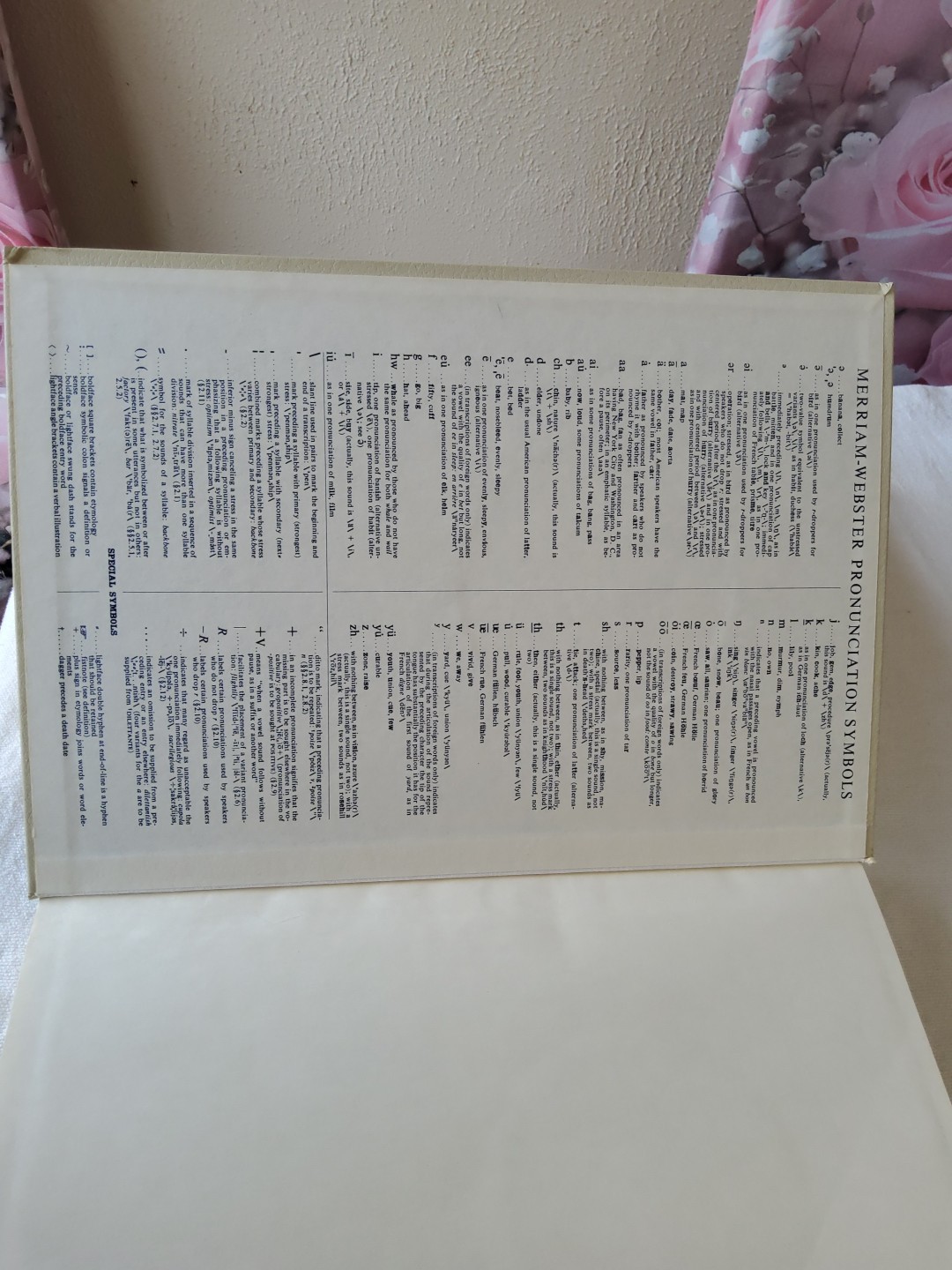 webster's third new international dictionary 1768