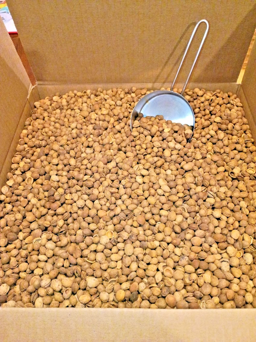 3lb (15 Cups) of Dried Michigan Cherry Pits: Bean Bag, Craft, Hot/Cold Packs