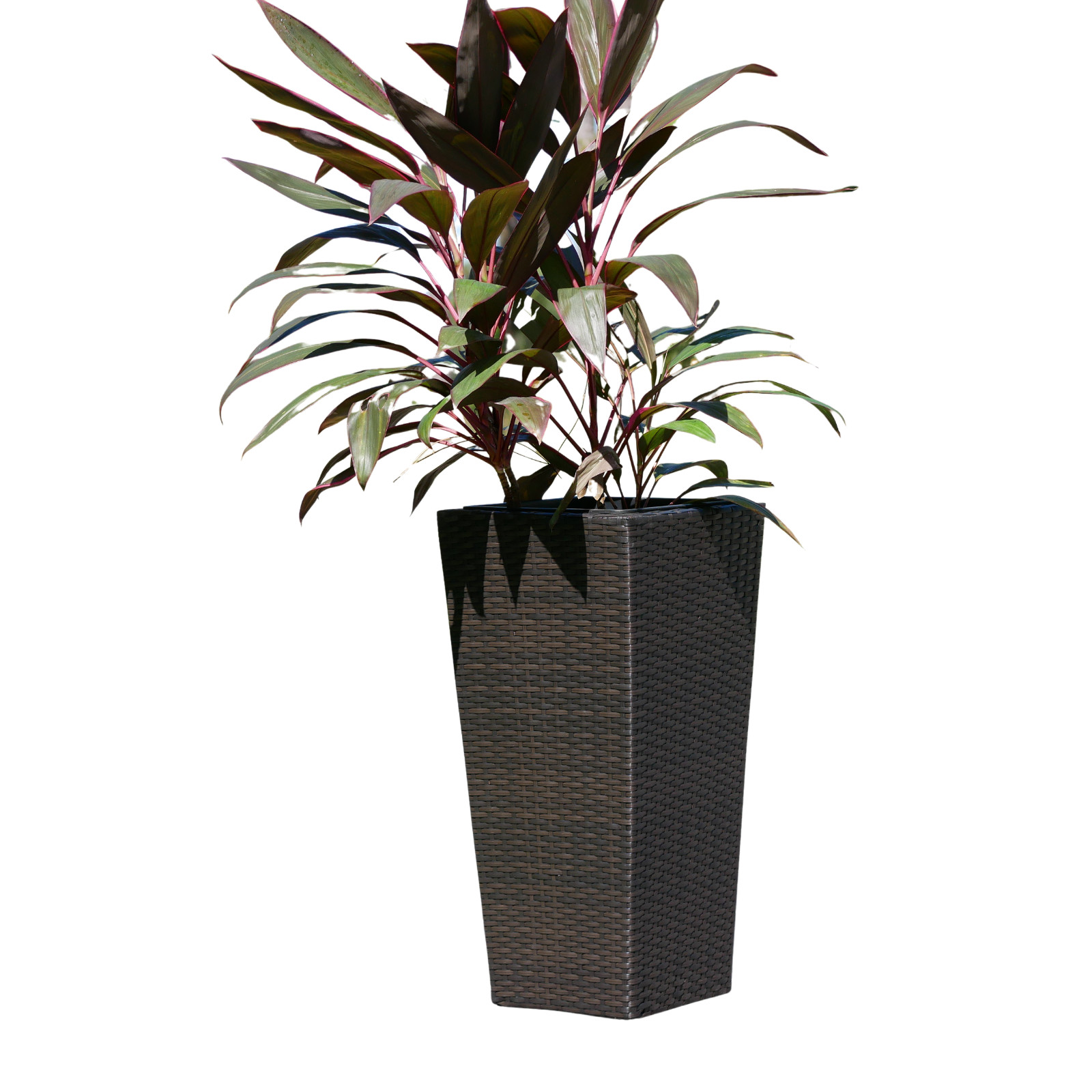 Conical Wicker Planter