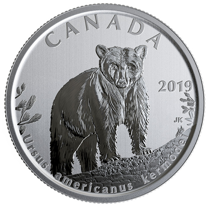 🇨🇦 Canada 50 cents coin, Wildlife Treasury & Fauna, Kermode 🐻 Bear, UNC, 2019