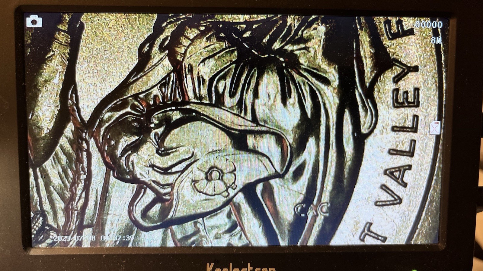 2026-P&D Sacagawea Dollar Coins