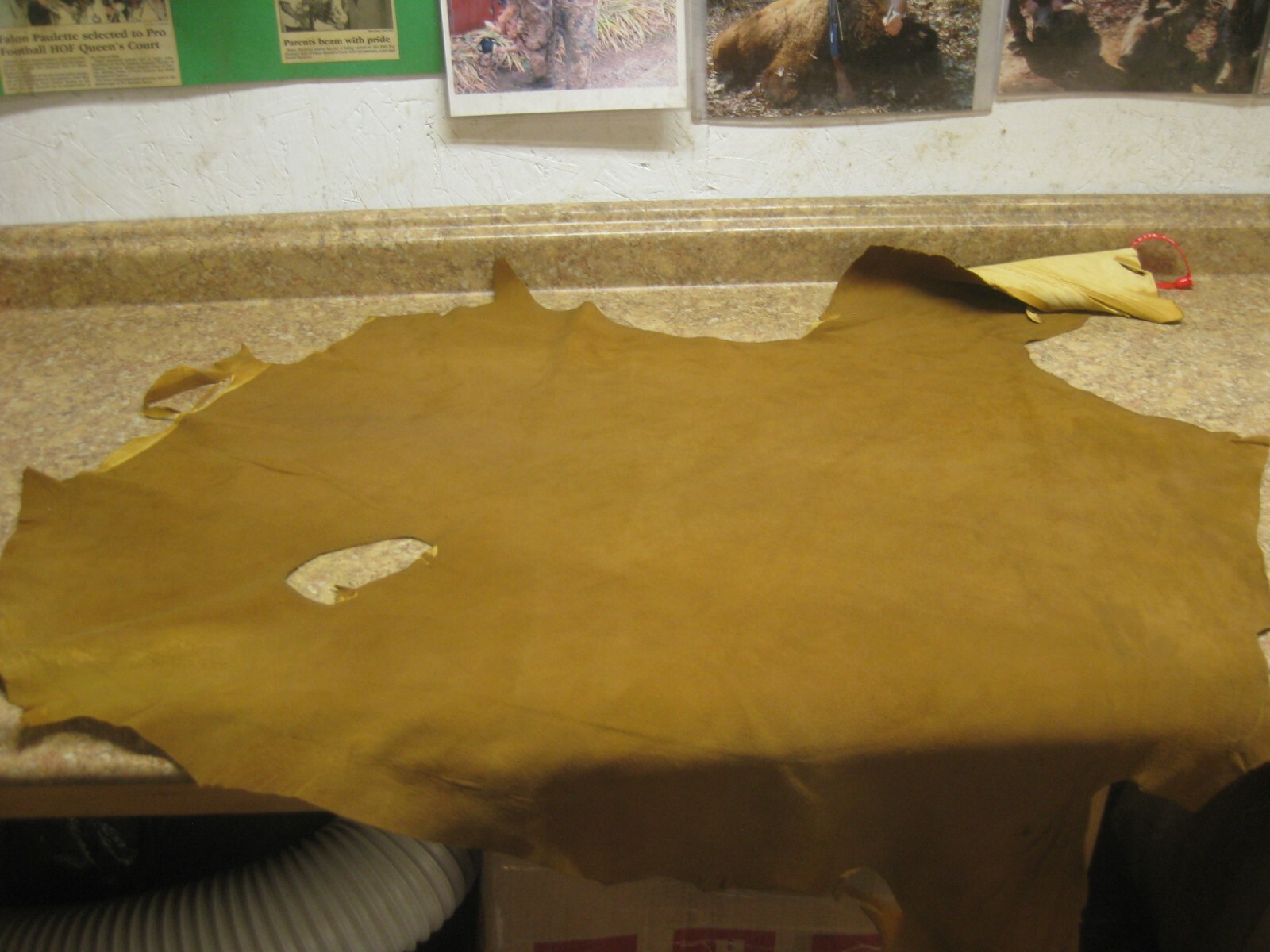 Tanned Buffed Deer Leather 0011139 row 15 a
