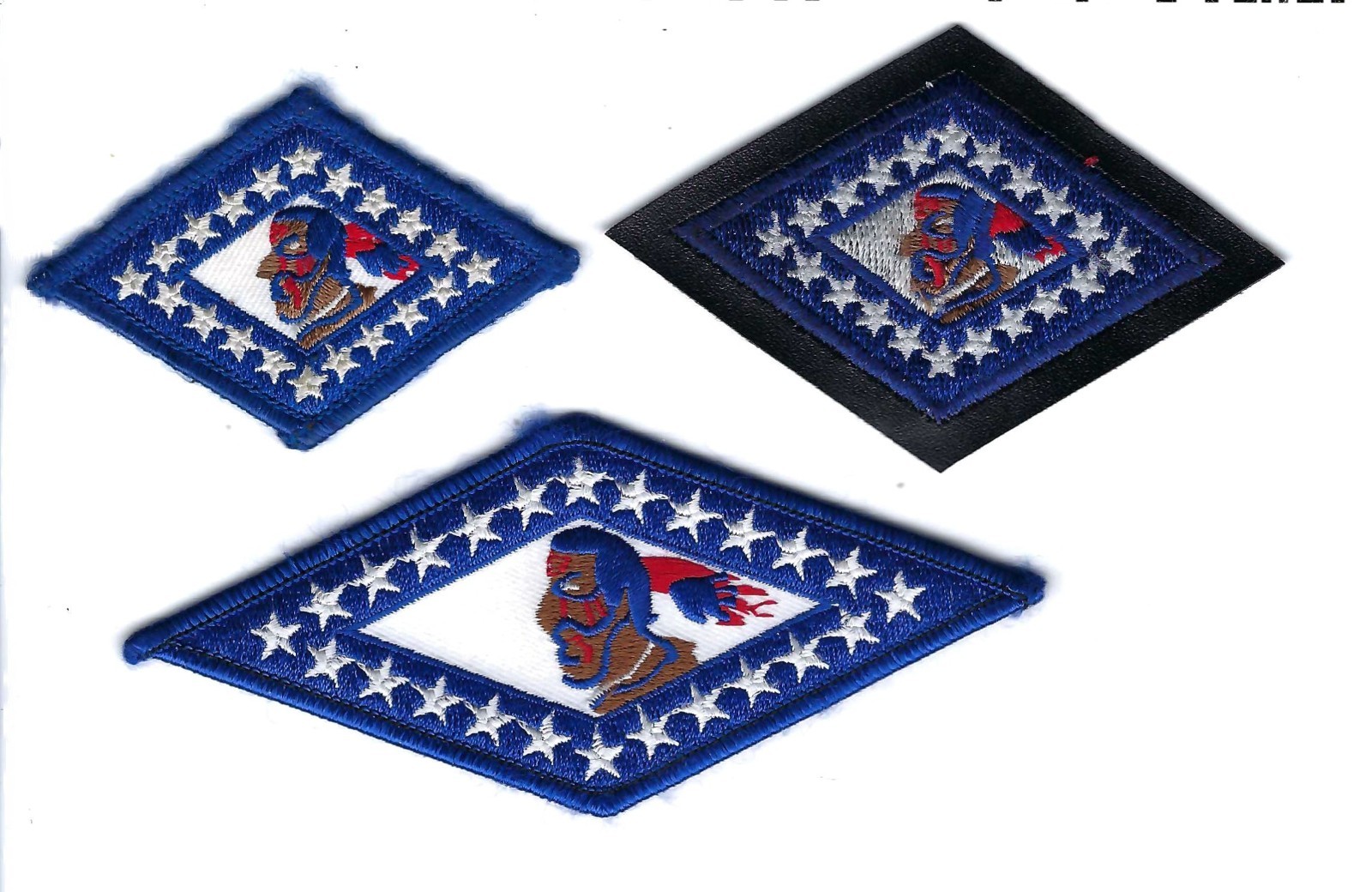 PATCH USAF 154TH TRAINING SQ TRS x 3 ARKANSAS  AIR GUARD  AS-1