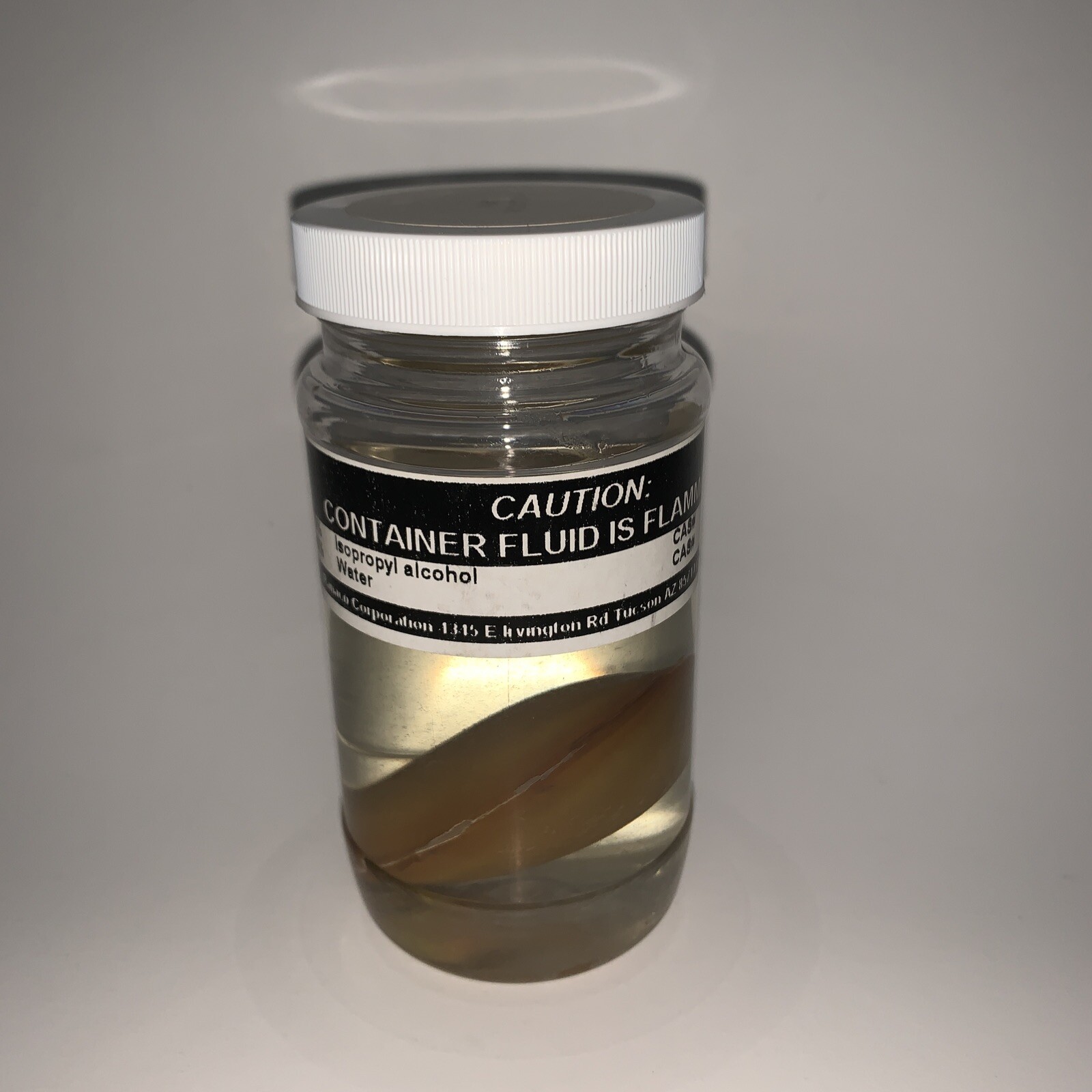 Ramaco Mollusca Clam in Alcohol Specimen Science Jar
