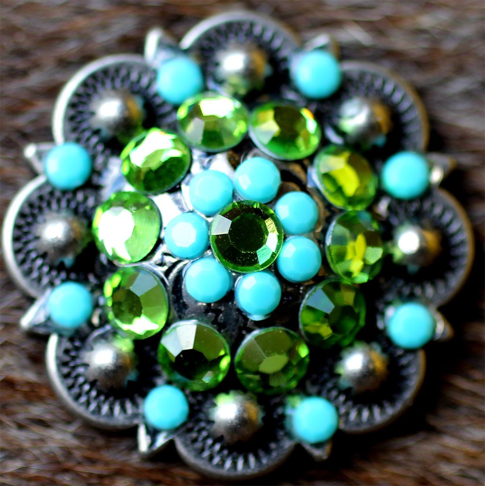 4 Conchos Rhinestone Horse Saddle Western Rodeo Bridle Berry CO30