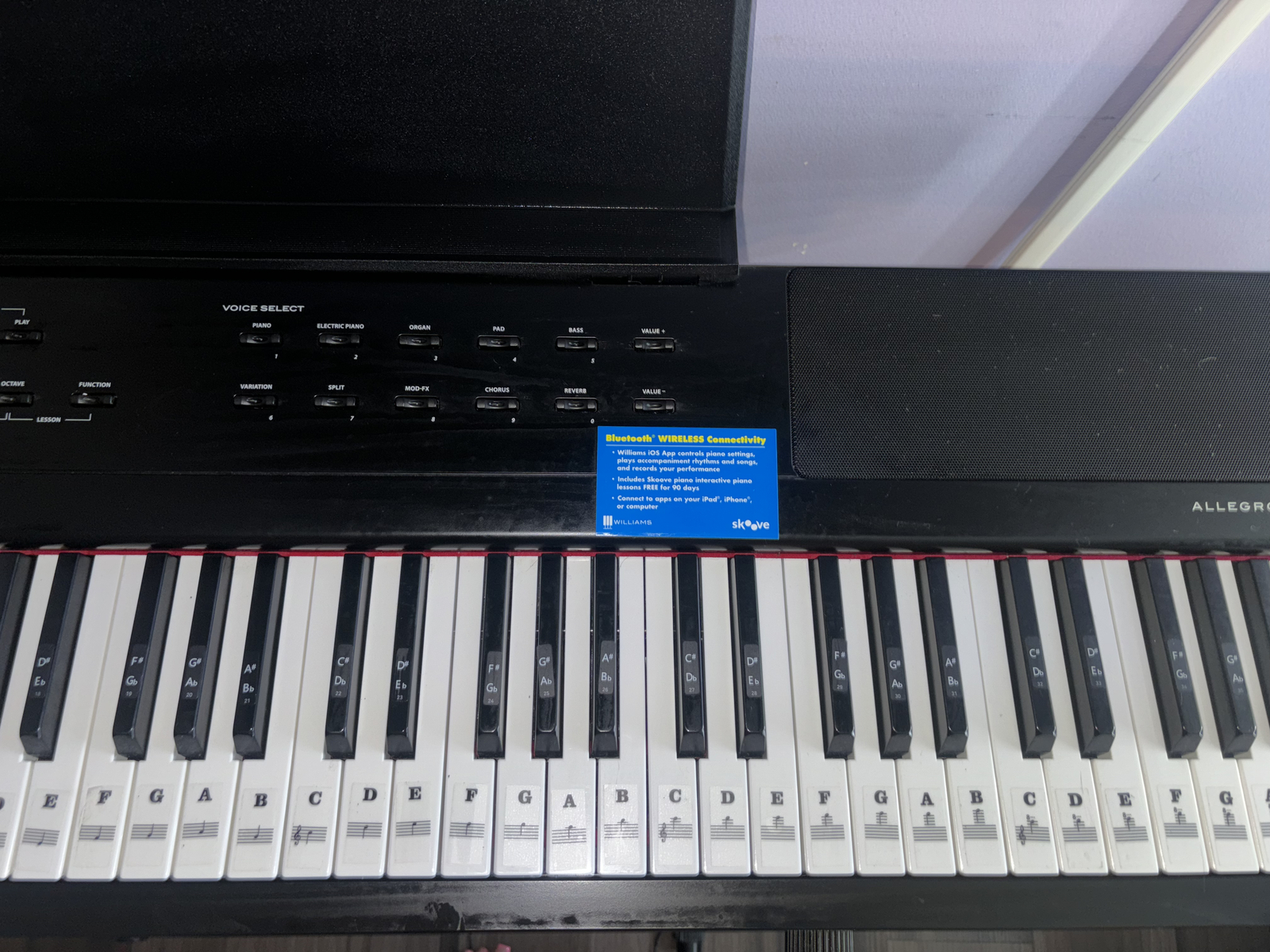 Williams Allegro III 88 Key Digital Piano