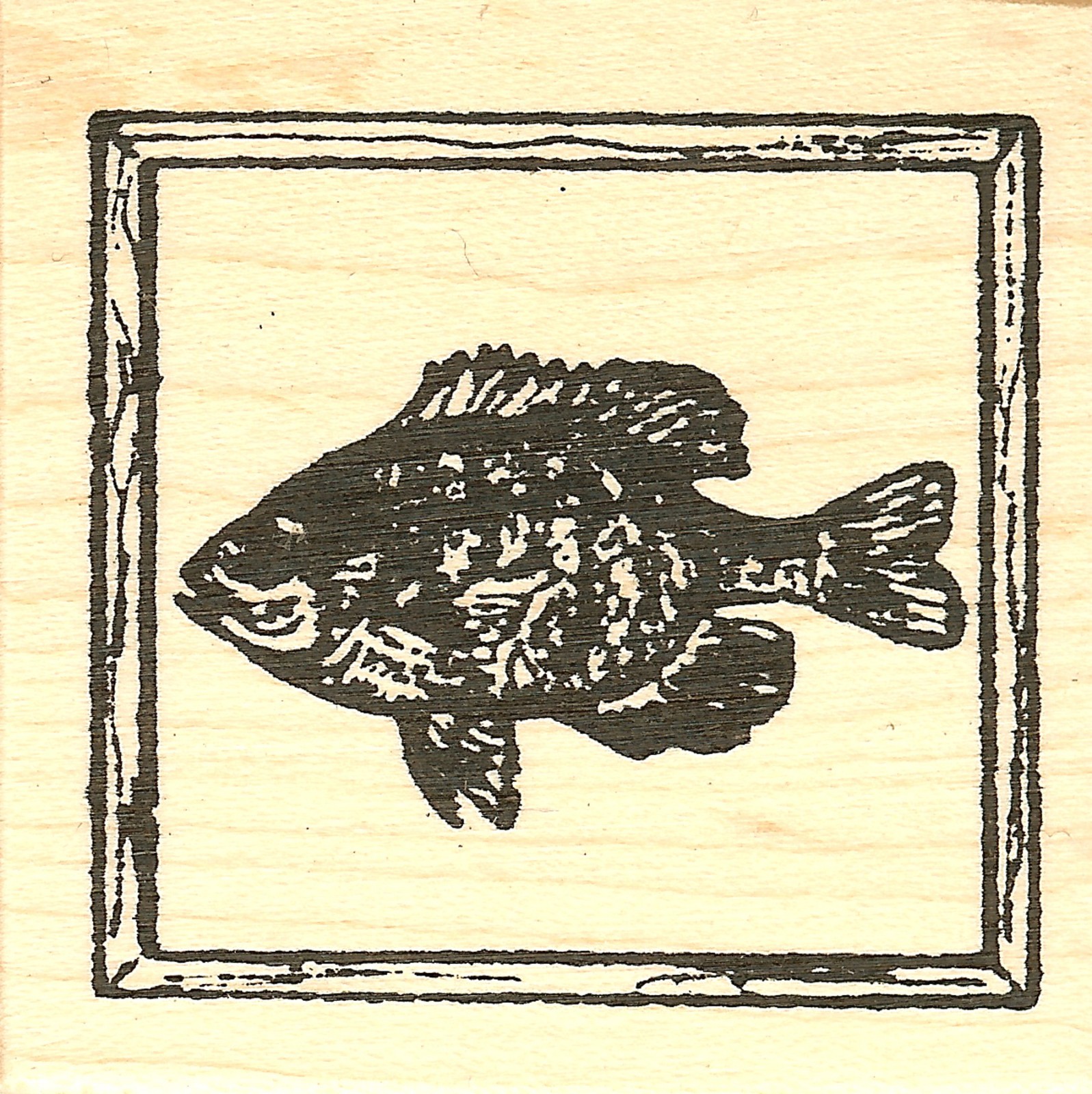 Blue Gill In Frame, Wood Mounted Rubber Stamp NORTHWOODS - NEW, CC9740