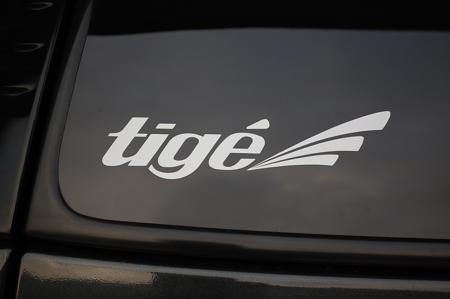 Tige Fishing Boat Vinyl Sticker Decal Choose Color And Size!! Fish Truck (V157)