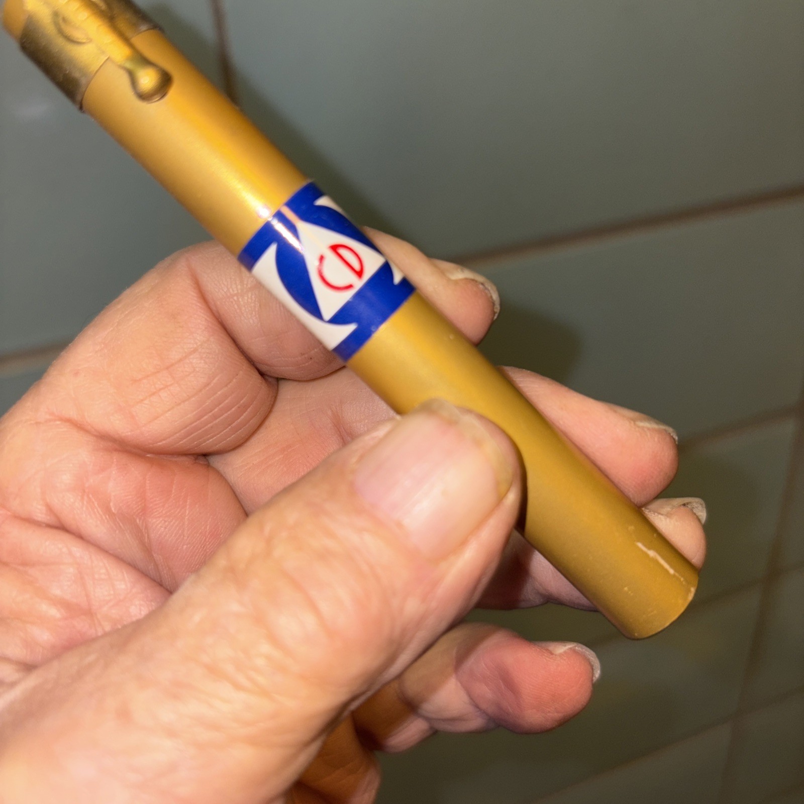 Landsverk CDv 742 Pocket Dosimeter Pen Radiation Detector