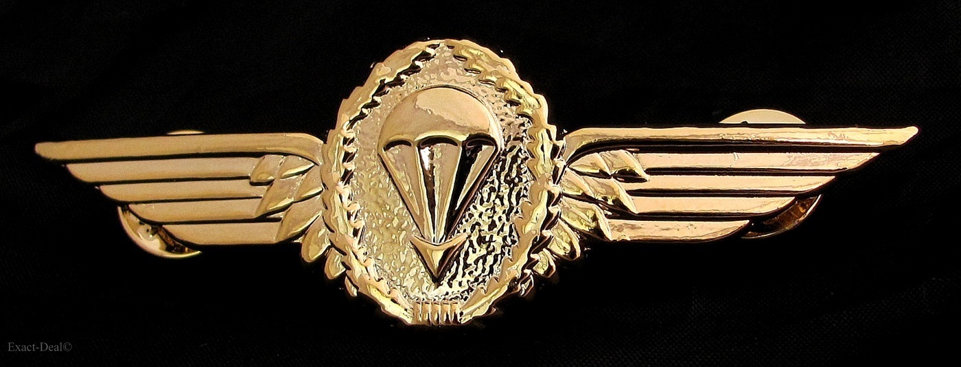 German Germany Army Airborne Jump Parachutist Full Size Golden Metal Wing Badge