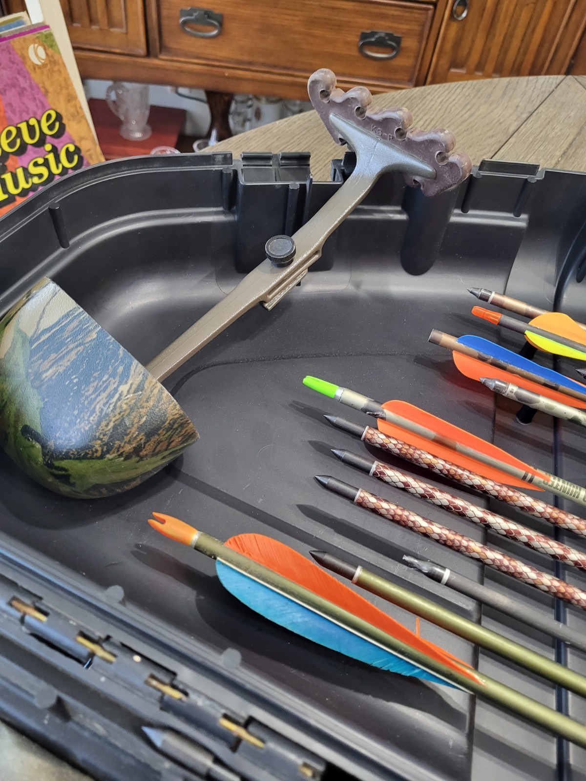 Diamond Archery Pro Compound Bow - With Case, Arrows, Tips, Everything +50-80 Dr